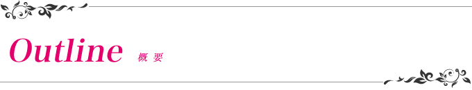 ヒストリックモード　会社概要